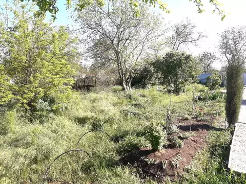 Участок в Крым, Кировский район, Первомайское с/пос, с. Жемчужина ...