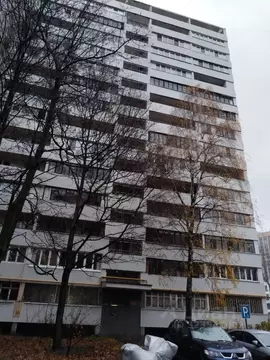 2-к кв. Москва Федеративный просп., 40К1 (40.0 м)