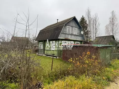 Дом в Ленинградская область, Лужский район, Мшинское с/пос, Мшинская ...