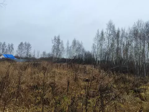 Участок в Московская область, Раменский муниципальный округ, д. ...