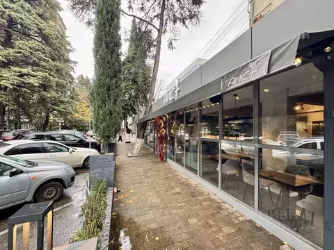 Помещение свободного назначения в Краснодарский край, Сочи Центральный ...