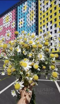 Студия Ленинградская область, Мурино Всеволожский район, ул. Шоссе в ...