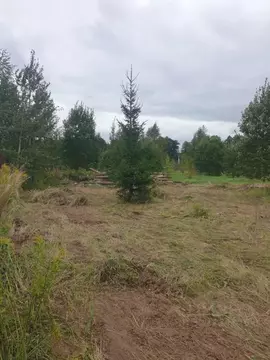 Участок в Москва д. Ширяево, аллея Березовая, 25 (6.0 сот.)