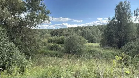 Участок в Московская область, Кашира городской округ, д. Вослинка  ...