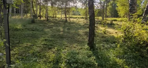 Участок в Тверская область, Калязинский муниципальный округ, д. ...