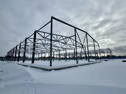 Склад в Московская область, Богородский городской округ, д. Большое ...