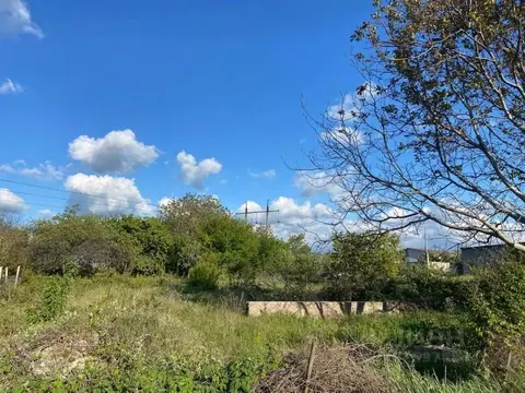 Участок в Крым, Симферопольский район, Трудовское с/пос, Благовещенск ...