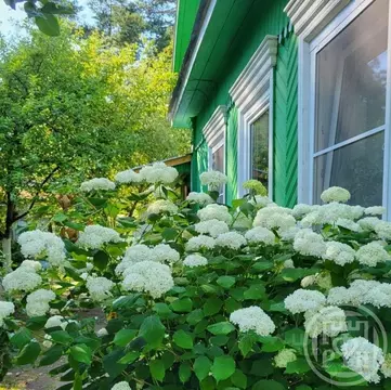 Дом в Санкт-Петербург, Санкт-Петербург, Сестрорецк 7-я линия, 21 (140 ...