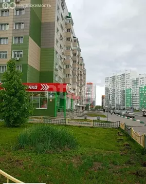Квартира-студия: Барнаул, Балтийская улица, 103 (34.3 м)