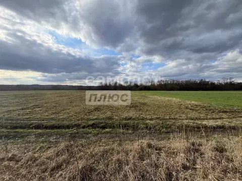 Участок в Курская область, Курский район, Полянский сельсовет, д. 2-е ...