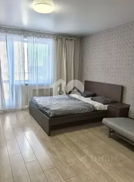 Студия Новосибирская область, Новосибирск ул. Виктора Шевелева, 24 ...