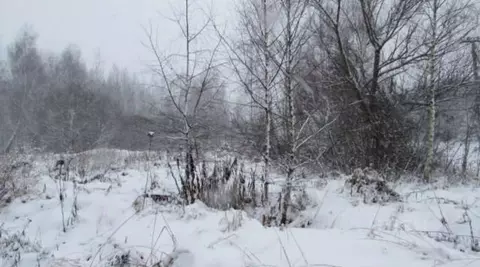 Участок в Московская область, Коломна городской округ, с. Нижнее ...