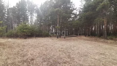 Участок в Забайкальский край, Читинский район, с. Смоленка  (8.5 сот.)