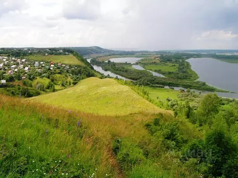 Участок в Нижегородская область, Нижний Новгород д. Голошубиха,  (7.0 ...