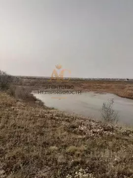 Участок в Крым, Ленинский район, Батальненское с/пос, Нептун СНТ  (8.0 ...