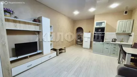 Квартира-студия: Новосибирск, улица Котовского, 40/1 (32.7 м)