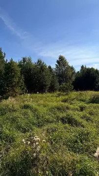 Участок в Свердловская область, Сысертский муниципальный округ, с. ...