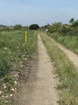 Участок в Адыгея, Тахтамукайский район, Старобжегокайское с/пос, ...
