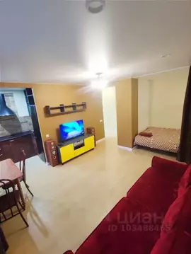 Студия Пермский край, Пермь ул. Баумана, 23 (32.0 м)