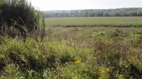 Участок в Московская область, Коломна городской округ, д. Смедово  ...