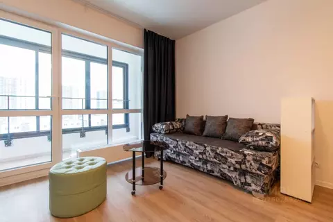 Студия Санкт-Петербург просп. Орлово-Денисовский, 17к1 (27.0 м)