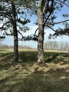 Участок в Крым, Симферопольский район, Добровское с/пос, Лаванда парк ...