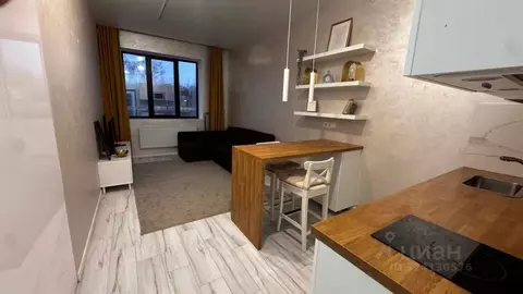 Студия Москва Ленинградский просп., 35С1 (25.0 м)