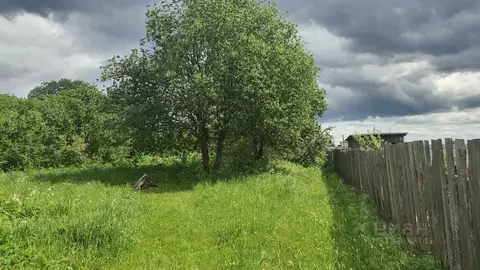 Участок в Тверская область, Конаковский муниципальный округ, Нива СНТ ...