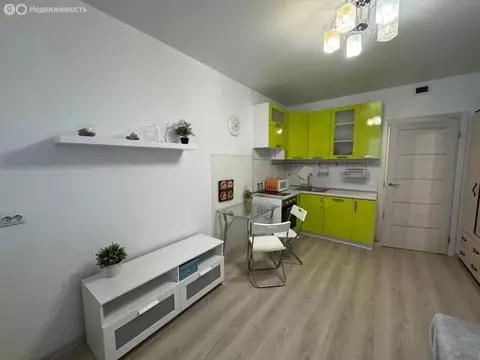 Квартира-студия: Санкт-Петербург, Парашютная улица, 42к2 (25 м)