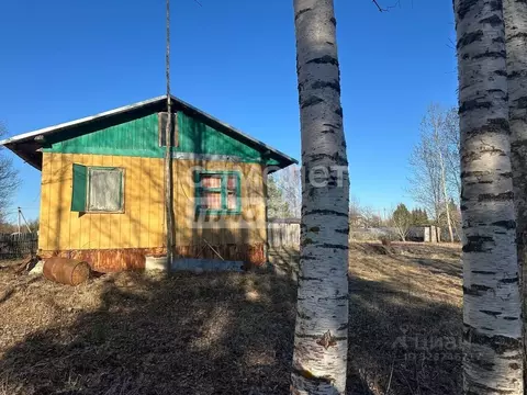 Дом в Вологодская область, д. Телячьево 1 (47 м)