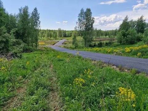 Участок в Ленинградская область, Всеволожский район, Куйвозовское ...