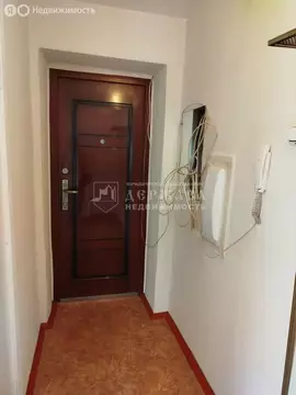 1-комнатная квартира: Кемерово, Рекордная улица, 5А (29 м)