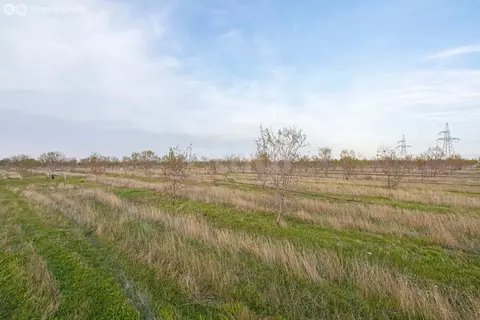 Участок в Бахчисарайский район, село Тенистое (366 м)