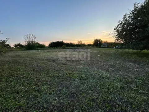 Участок в Белгородская область, Строитель Яковлевский городской округ, ...