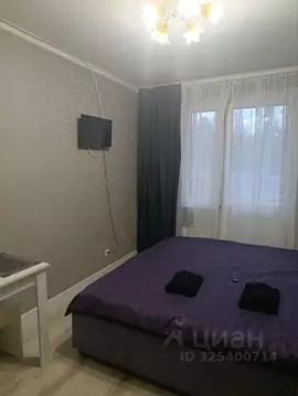 Студия Московская область, Балашиха Кучино мкр, ул. Брагина, 3 (20.0 ...