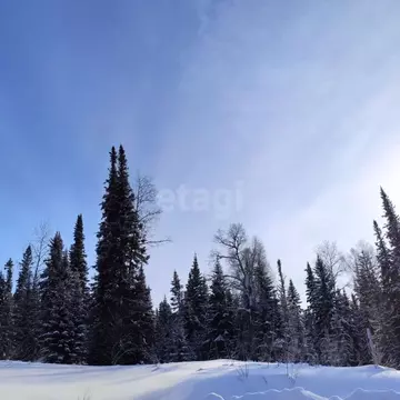 Участок в Кемеровская область, Таштагол Каменушка мкр,  (15.0 сот.)