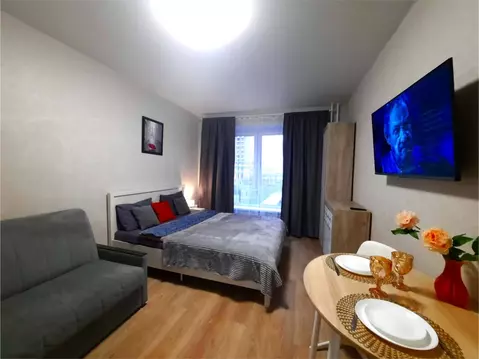 Студия Московская область, Люберцы ул. Летчика Ларюшина, 4к2 (23.0 м)