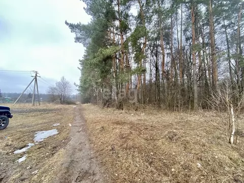 Участок в Тамбовская область, Тамбовский муниципальный округ, Новая ...