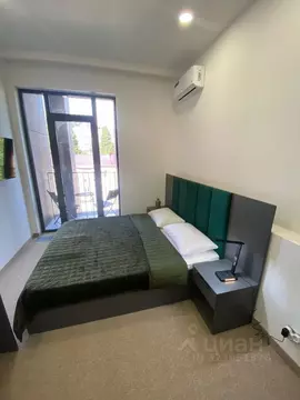 1-к кв. Краснодарский край, Сочи Бытха мкр, ул. Бытха, 30 (19.7 м)