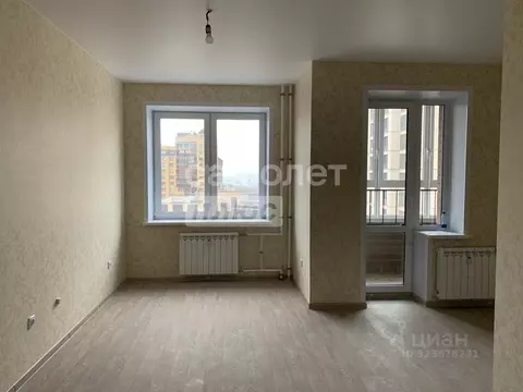 Студия Воронежская область, Воронеж просп. Труда, 139А (23.9 м)