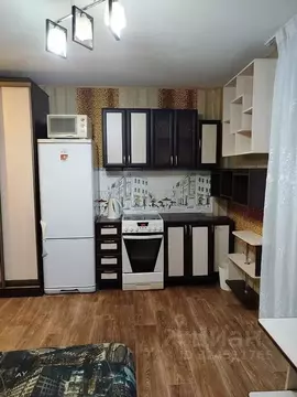 1-к кв. Красноярский край, Красноярск ул. Карамзина, 18 (20.0 м)