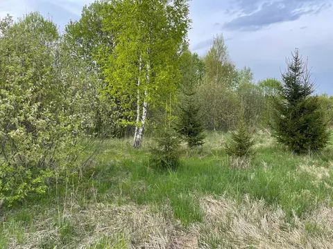 Участок в Москва № 182 кв-л, 255 (12.5 сот.)