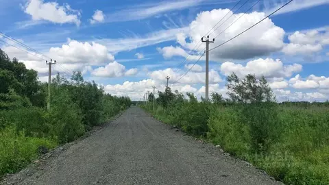 Участок в Хабаровский край, Хабаровский район, с. Корсаково-1  (8.0 ...