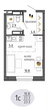Студия Пермский край, Пермь Ижевская ул., 38 (23.3 м)