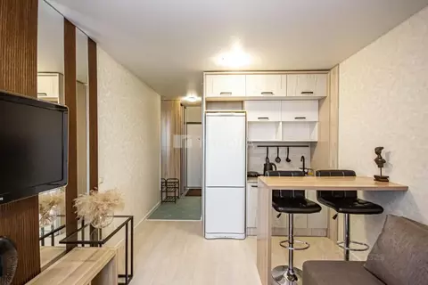 Студия Новосибирская область, Новосибирск ул. Фадеева, 66/2 (26.0 м)