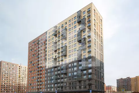 Торговая площадь в Московская область, Люберцы городской округ, Мирный ...