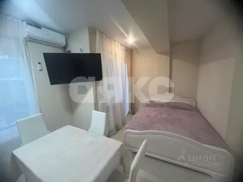 Студия Краснодарский край, Сочи городской округ, Дагомыс пгт ул. ...