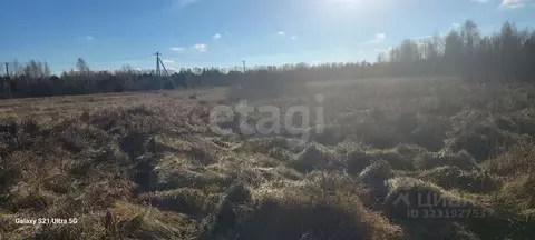 Участок в Свердловская область, Нижний Тагил Рудник имени 3-го ...