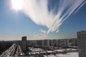 1-к кв. Московская область, Мытищи Юбилейная ул., 10 (20.0 м)