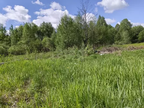 Участок в Брянская область, Брянск Радица-Крыловка пгт,  (10.0 сот.)